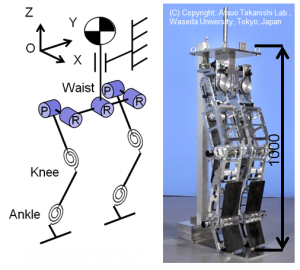 骨盤と脚弾性を有する跳躍・走行ロボット（早大高西研）