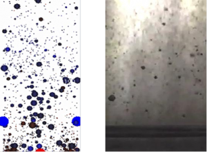 無重量中における粒子捕捉のシミュレーション（左）と実験結果（右